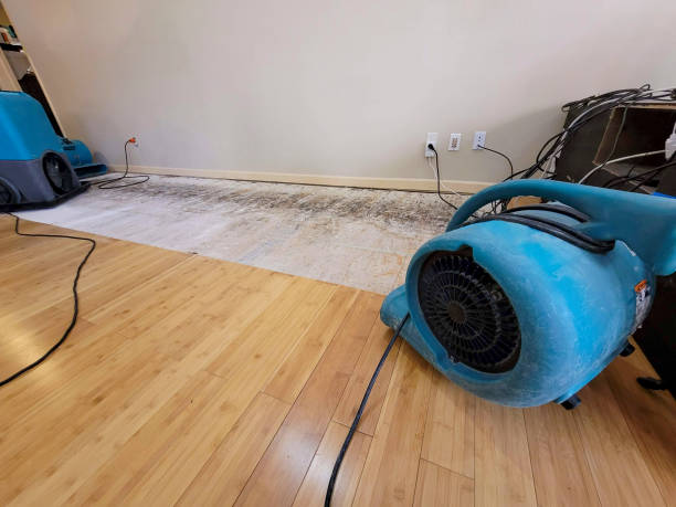Professional Basement Flood Cleanup technician working in Hudson, MA